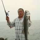도사낚시 이미지