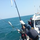 영일민박 이미지