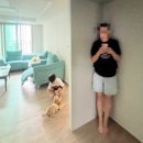 강현태권도 이미지