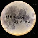 부산구서동술집 다양한 음식과 술이 있는 구서역술집 포차천국 구서점