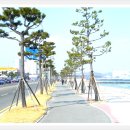 송도보건진료소 이미지