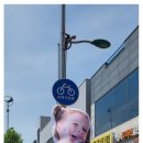 진성에스엔지