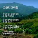 엘지김밥
