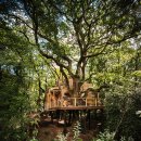 트리하우스 이미지