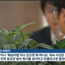 우회전 버스에 치여 숨진 고 조은결 군 (8살) 유족 요청에 의해 실명, 얼굴 공개 이미지