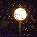 인하여성의원 이미지