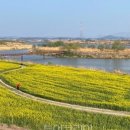 영천체육공원 이미지