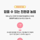 제제나무