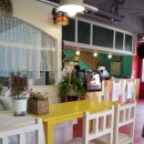 빨간창꼬 이미지