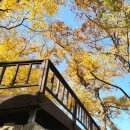 신원양지마을 이미지