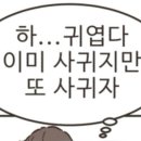와쿠와쿠