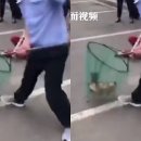 댕댕이 머리하는 날 이미지