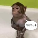 청라 왁싱 - 누데이왁싱 NUDAY WAXING ( 팔 왁싱 후기 )