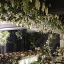 그레이스하우스 | [수원] 파티움하우스 그레이스켈리홀 투어 후기