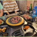 신마포 갈매기 이미지