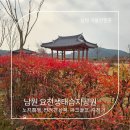 요천생태습지공원 애견놀이터 | 요천생태습지공원 남원 노지캠핑 파크골프 반려견 산책
