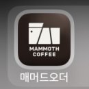 매머드익스프레스서초서일점