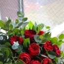 레드플라워(RED FLOWER) 이미지