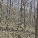 봉산약수터 이미지