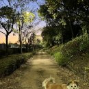 365일카센타 이미지