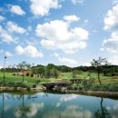 한맥스크린 이미지