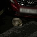 쏠모텔 | 광주여행 2박 3일 뚜벅뚜벅｜1일차: 시장국밥, 전일빌딩245, 518민주화운동기록관, 소년이온다...