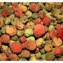 농장 천지인 이미지