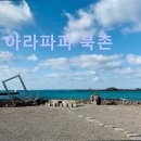 아라파파북촌 제주도 카페 추천 <b>아라파파</b> <b>북촌</b> 제주 <b>아라파파</b> <b>북촌</b> - 여유로운 오션뷰