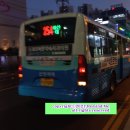 완월동119 이미지