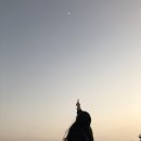 스테이동백 이미지