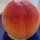 훈훈한 과일 중동 이미지