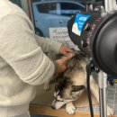 개목욕탕 이미지