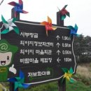 의야지바람마을 이미지