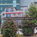 주식회사숲나무 이미지