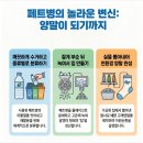 (주)데일리울산 | [울산암각화박물관 기념품샵] 페트병 새활용 고래 양말 내돈내산 후기