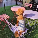 멍글몽글 이미지