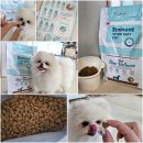 펫츠다이닝(pet's dining) 이미지