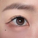 블링존 | 렌블링 | 뷰어선셋 초코 13.3mm 체감직경 내돈내산 한달용 축고정렌즈 후기