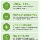 블루베라