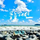 합자 도시락 | [국내여행] 거제도 여행 1일차 : 고현시장 주차 활어회센터 꿀빵 몽돌해수욕장 거제펜션 밤바다 가덕도...