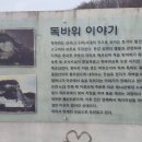 독바우 이미지