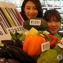 산들푸드시스템