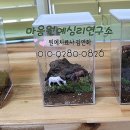 테라리움연구소 이미지