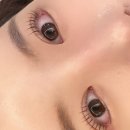 다프네뷰티