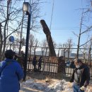 태진환경자원 이미지