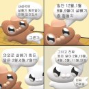 홍콩야식