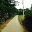 학교안 풍경 캠핑장 이미지