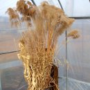 보물하우스 이미지