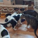 우리와 주식회사 이미지