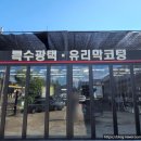 수성자동차정비공업사 이미지